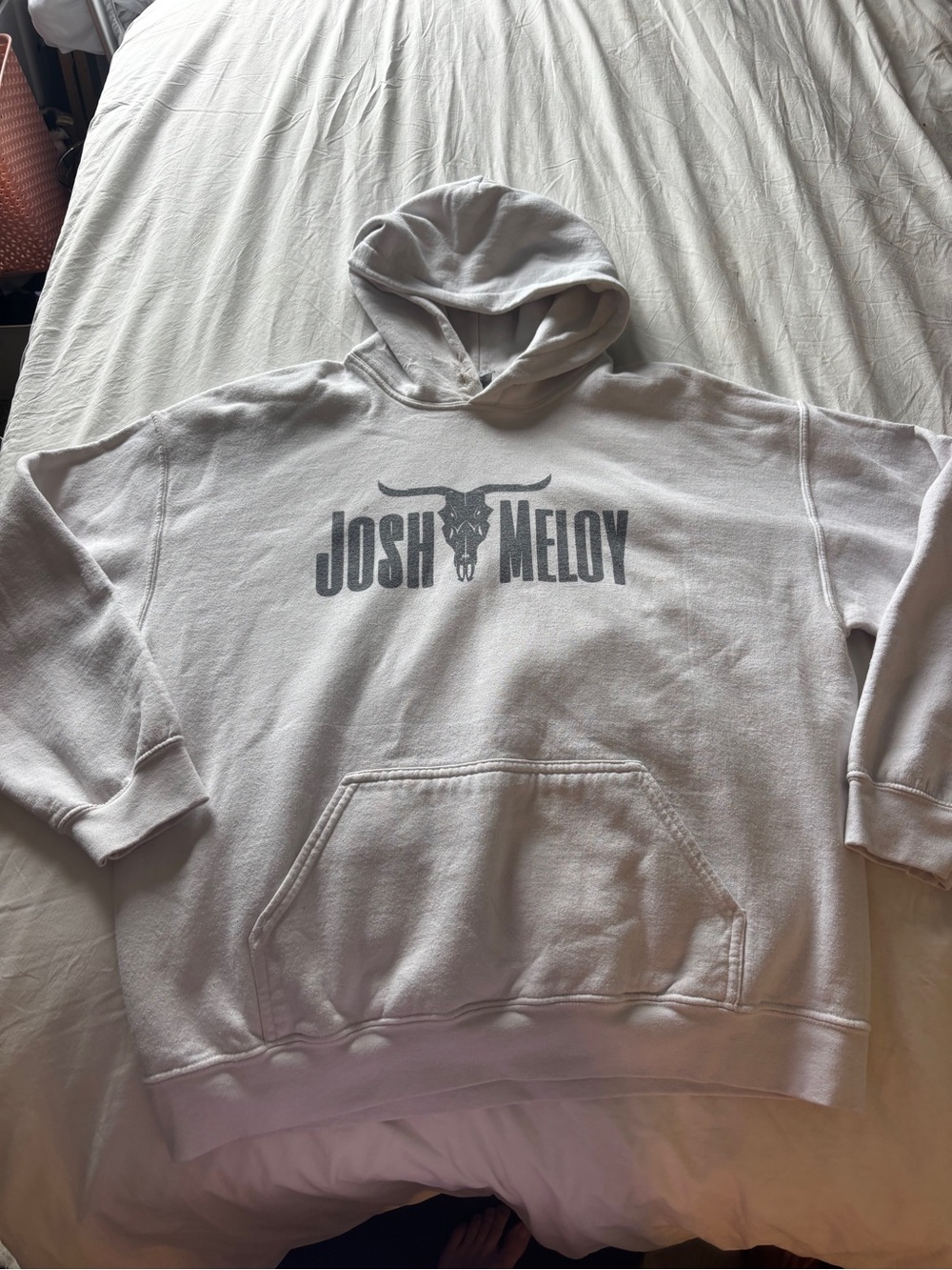 Hoodie Sweatshirt in Light Gray size L